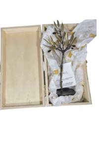 Extra Virgin Olive Oil Gift Sets | Mavroudis Olive Oil